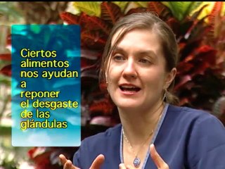 Adaptógenos podrían ser una útil herramienta contra el estrés diario