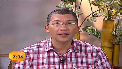 ¿Cómo funciona el Bachillerato Internacional?