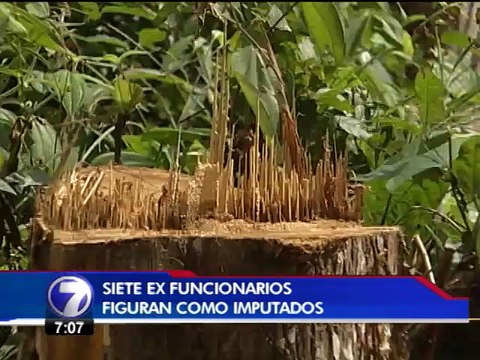 Exfuncionarios de Minae y Setena figuran como imputados en caso Crucitas