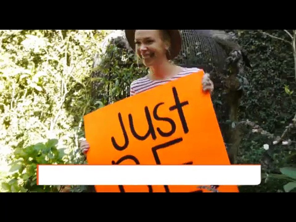 Conciertos, Exposiciones y Ferias, la información en La Carpa