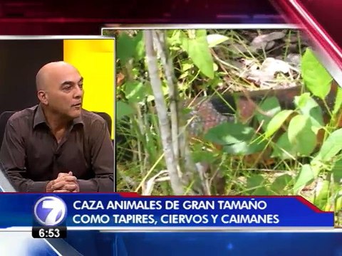 ¿Qué riesgos hay en el caso de un hombre que quiere ser tragado por una anaconda?