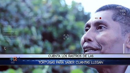 Un vecino de Tortuguero da grandes pasos por defender a las tortugas