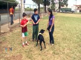 Los perros ahora se usan para educar y mejorar la salud de las personas