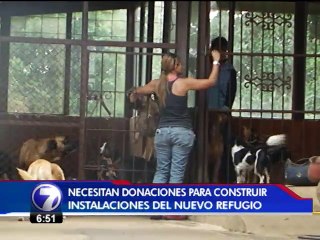 Una organización busca ayuda para construir un hogar para 80 perros