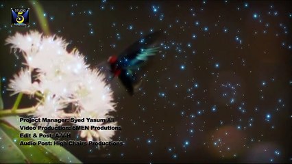 Aqsa abdul haq's Videos ALLAH HO ALLAH