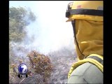 Bomberos y guardaparques atacan incendio forestal cerca del Parque Nacional Santa Rosa