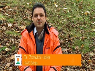 KWS - hibrid kukuruza Korimbos_392_12.03.2015.