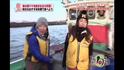 今井華 美脚ダコ料理