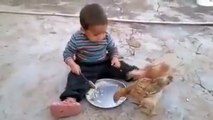 Yemeğini Tavuklara Kaptıran Çocuk