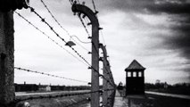 Auschwitz - Birkenau #NEVERFORGET 2015