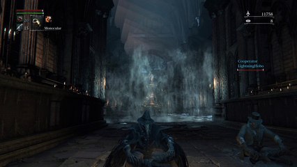 Bloodborne™ Bad Co-op Beckon