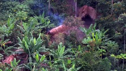 ayúdanos a proteger las tierras de los indígenas