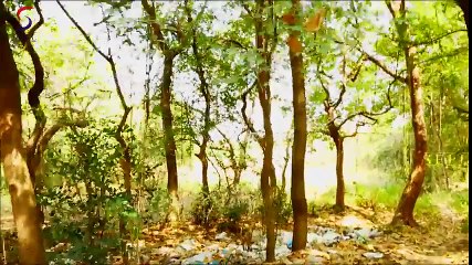 Garma Garam Masala 2015 (18+) Bollywood Hindi Full Movie DVD Rip Part 3