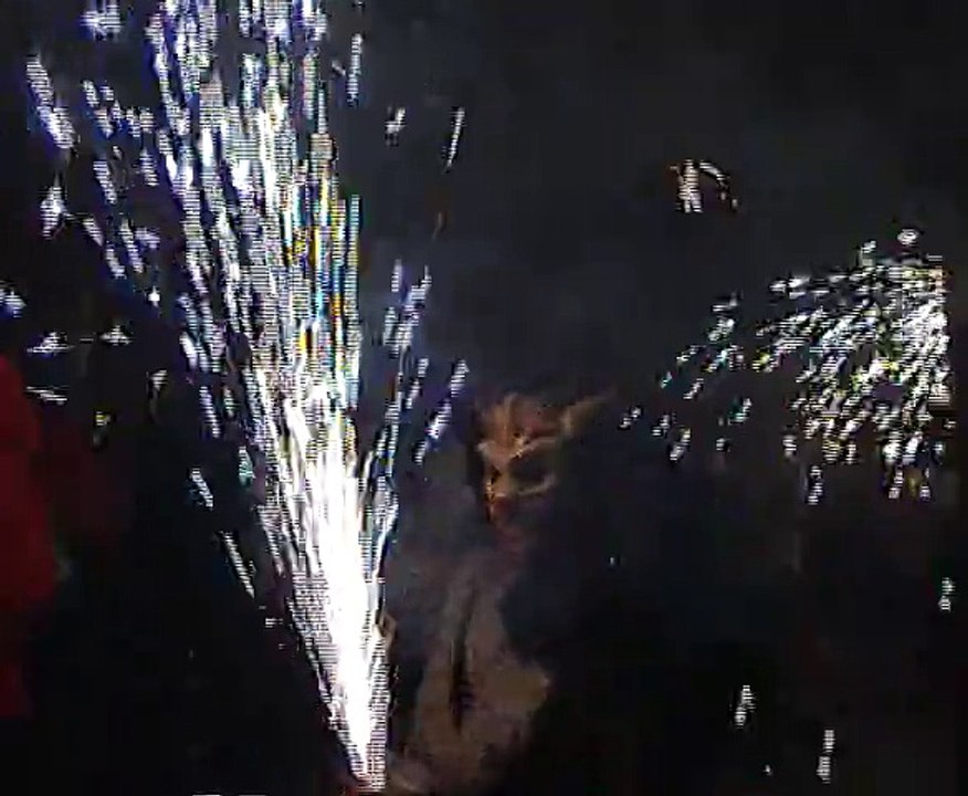 Correfoc de Mataro 2014.  Escapa negra nit.