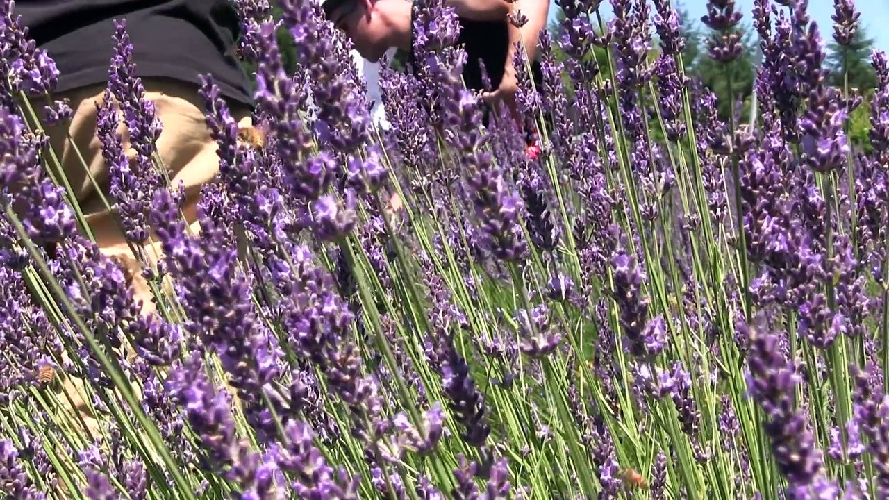 Behind The Tanlines  Lily Aldridge, Chrissy Teigen & More   Sports Illustrated Swimsuit 2015