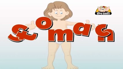 Learn about Human Body Parts in Hindi - Part 2