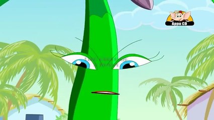 Learn about Plants in Hindi - Life Cycle