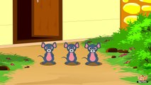 Animal Facts in Hindi - Mouse