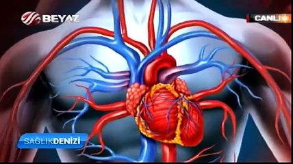 Sağlık Denizi 29.03.2015