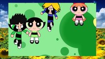 The Powerpuff Girls Finger Family Nursery Rhymes - Rhymes For Children