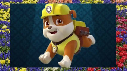 Paw Patrol and Minions Finger Family Nursery Rhymes - Rhymes For Children