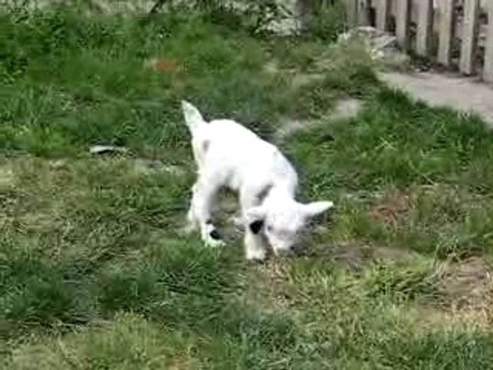 Emi à 2 jours