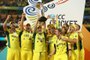 ICC Cricket World Cup Final 2015 - Australia Vs New Zealand Innings Highlights Score