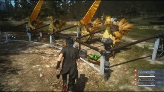 Final Fantasy XV Episode Duscae (Direct Live PS4) : Partie 2/2