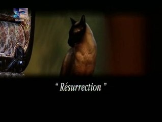 résurection  [paranormal activity] saison 2