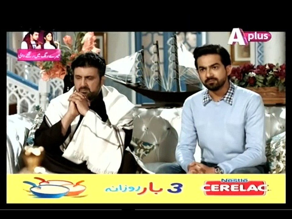 Kaneez 61 P1