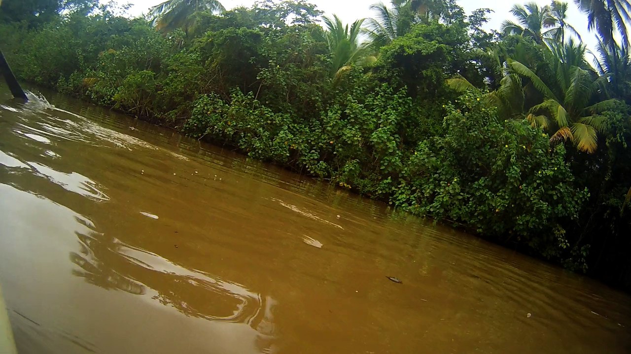 Riviere Indienne / Dominique