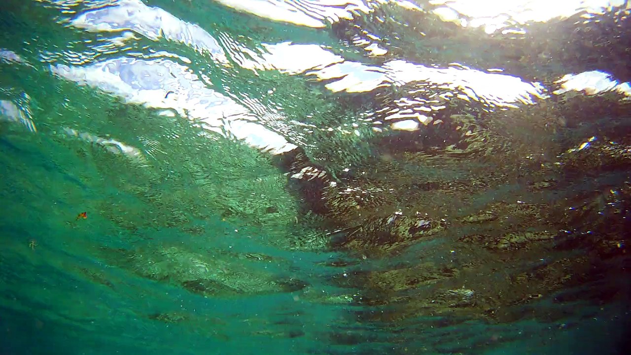 Gloup Gloup a Petite Terre