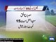 Dunya News - Faisalabad: Saika Inter Loop T20 tournament to start from 31 March