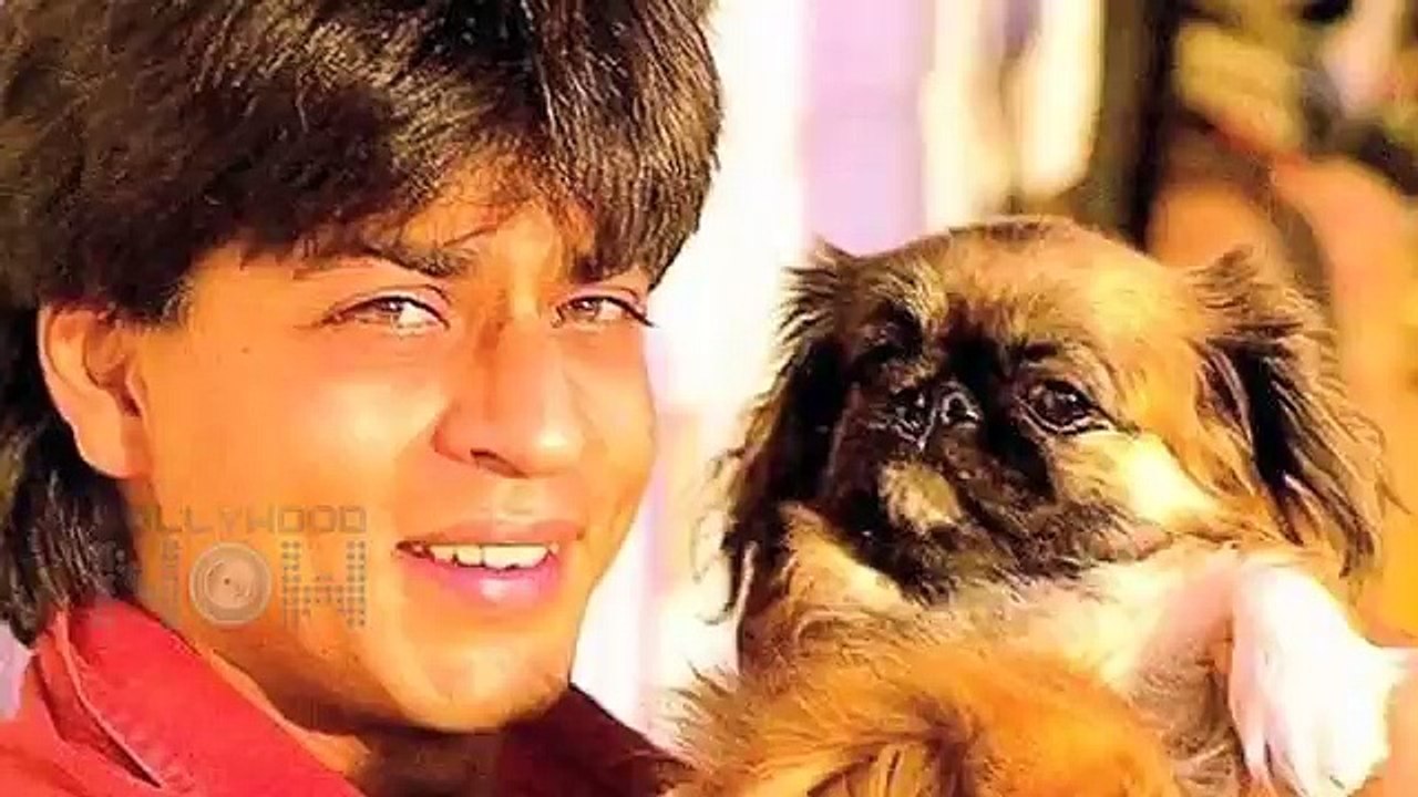 When Shahrukh Khan Felt Salman Khan's Pain   FIND OUT