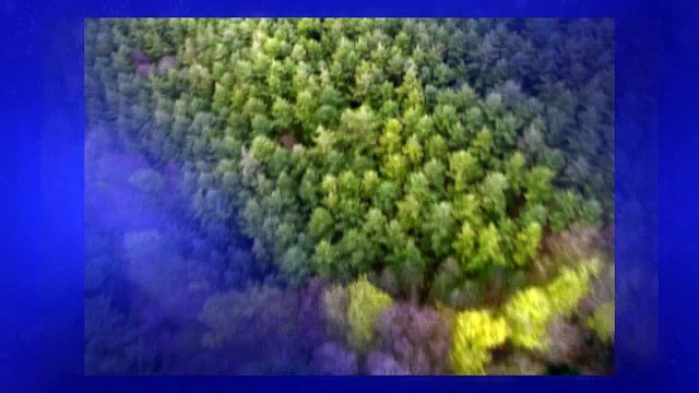 2015 Ford F-150 near Davis at Future Ford of Sacramento