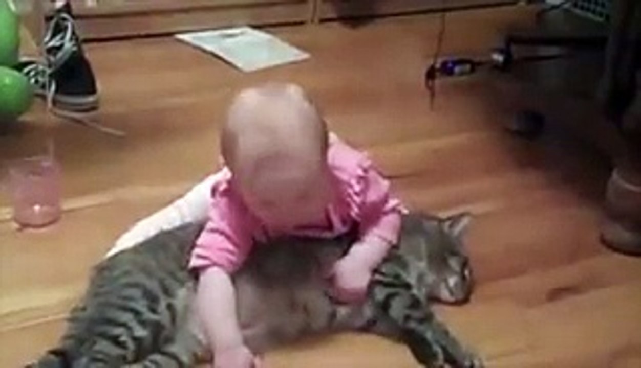 Funny baby videos laughing compilation