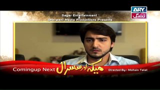 Meka Aur Susraal Episode 53 on ARY Zindagi in High Quality 29th March 2015