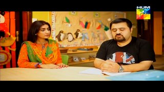 Mr Shamim Episode 13 on Hum Tv in High Quality 29th March 2015