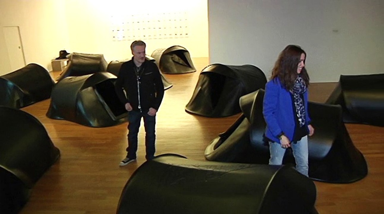 Reportage : Triple exposition musée des beaux arts