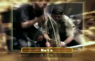 Niebezpieczne Spotkania Odliczanie Krokodyli Dokument