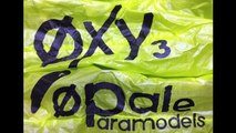 paramoteur rc  oxy 1.5 et oxy 3.0 team opale paramodels lille