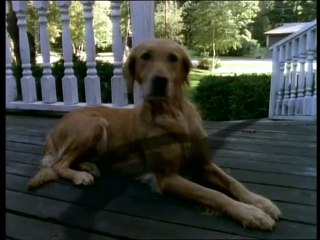 Pesadillas - El Juego de la Casa Encantada