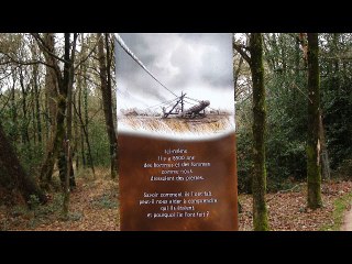LES MENHIRS DE MONTENEUF