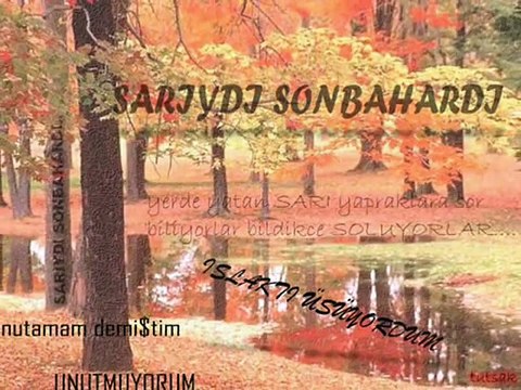 ebru gündes(elimiz mahkum)