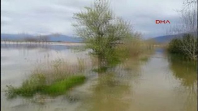 Aydın - Baraj Kapakları Açıldı, Tarım Arazileri Göle Döndü