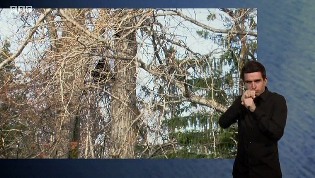 Alaska Earth's Frozen Kingdom  1. Spring