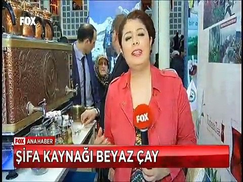Karadeniz'in Beyaz iksiri Beyaz çay Kansere iyi geliyor, gençleştiriyor