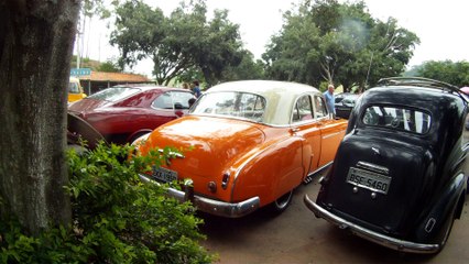 Grande Encontro de Carros Antigos de Paraibuna, SP, Brasil, Marcelo Ambrogi, Amigos, Fazenda, 29 de março de 2015, (14)