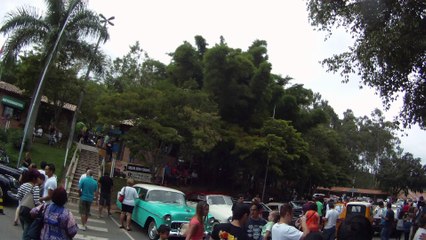 Grande Encontro de Carros Antigos de Paraibuna, SP, Brasil, Marcelo Ambrogi, Amigos, Fazenda, 29 de março de 2015, (37)