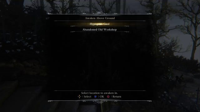 Bloodborne™Farming Blood Shards and Twin Blood Shards plus Blood Echoes